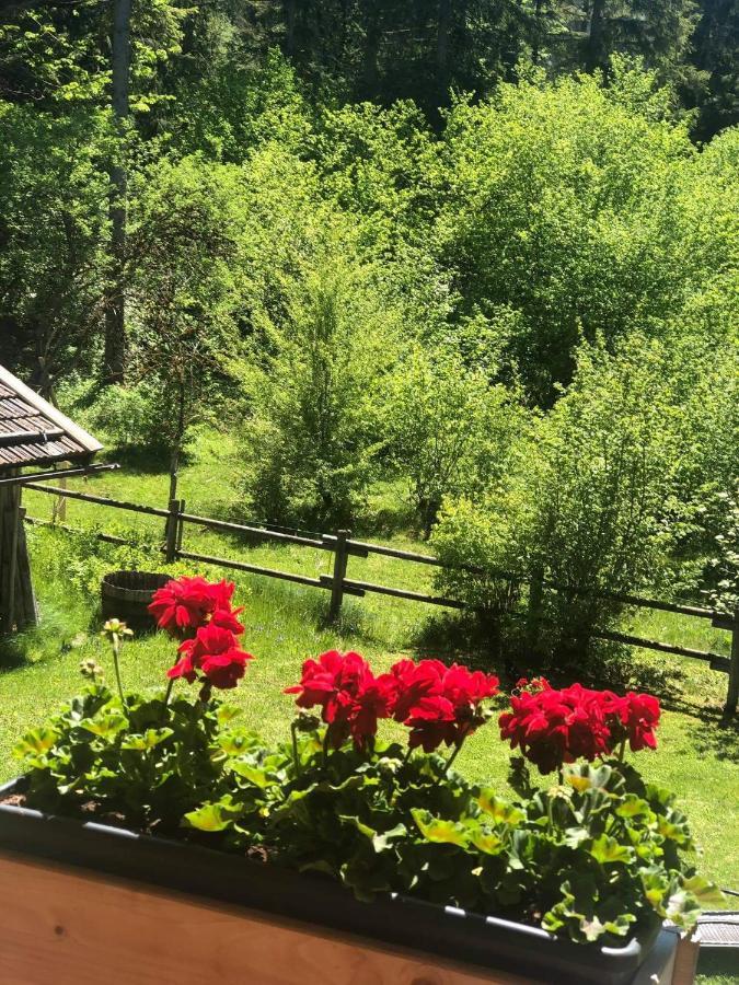 Landhaus Trinis - Gaestezimmer - Bad - Bett - Kleine Kaffee - Tee-Theke Mit Kuehlschrank - Parkplatz Villa Rotta Exteriör bild